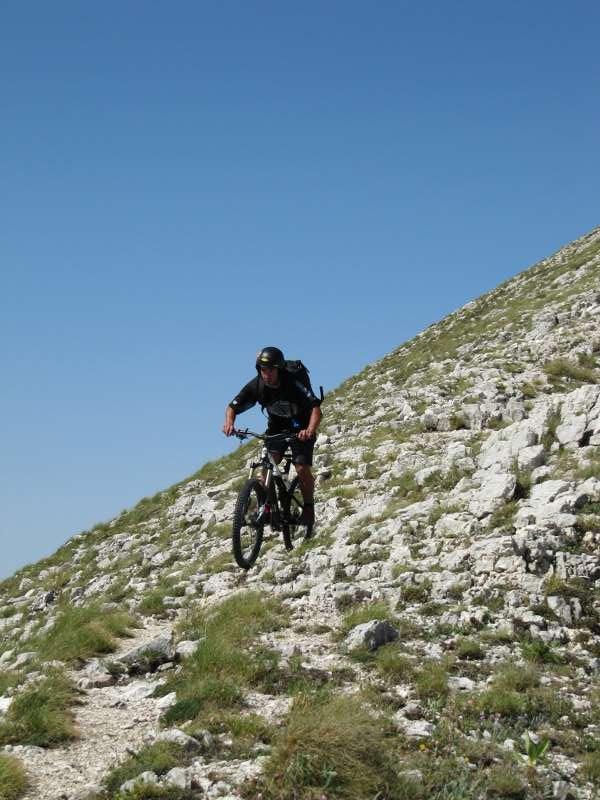 IMG_7558_800x600.jpg