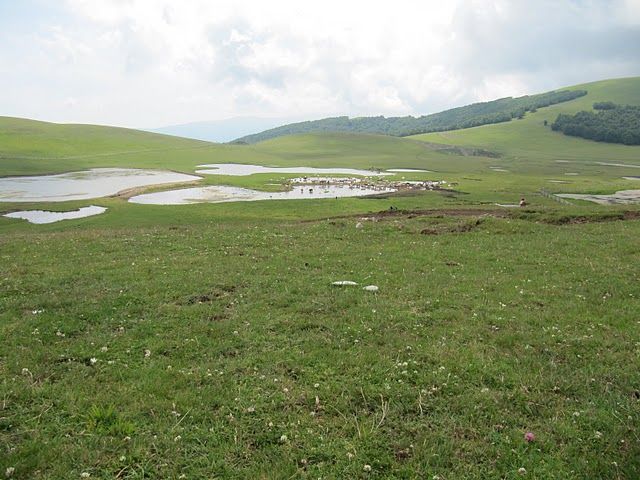 tn_img_3891.jpg