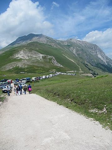 tn_img_3904.jpg