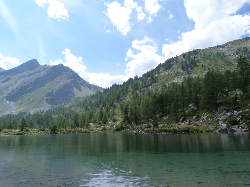 P1190634_800x600.JPG