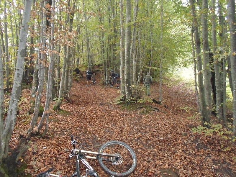 AlpeDellaLuna28.JPG