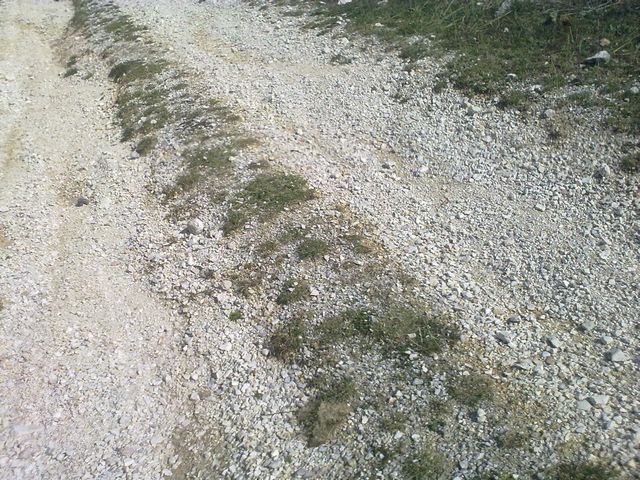 tn_30102011790.jpg