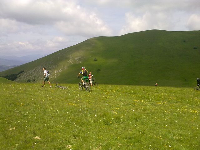 tn_19062011444.jpg