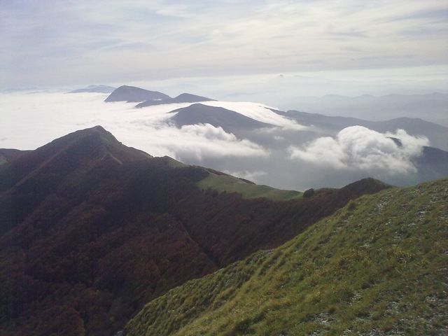tn_30102011809.jpg