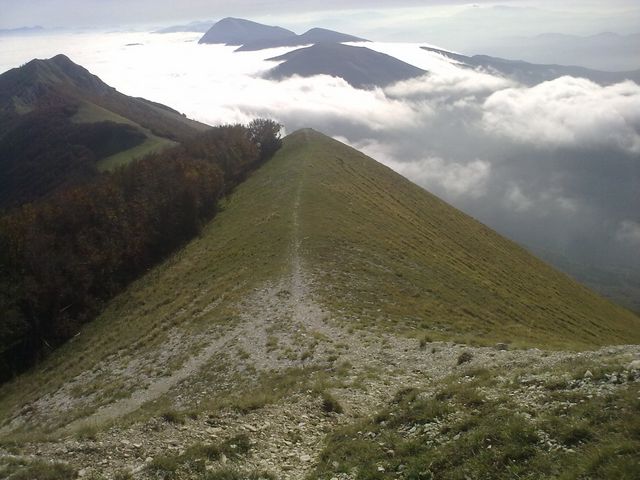 tn_30102011801.jpg