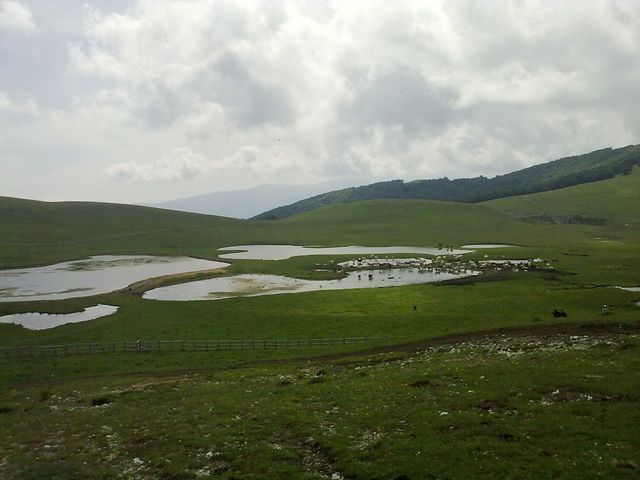 tn_19062011438.jpg