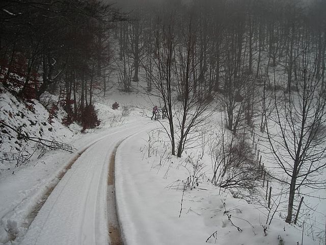 20091228_Catria_18.jpg