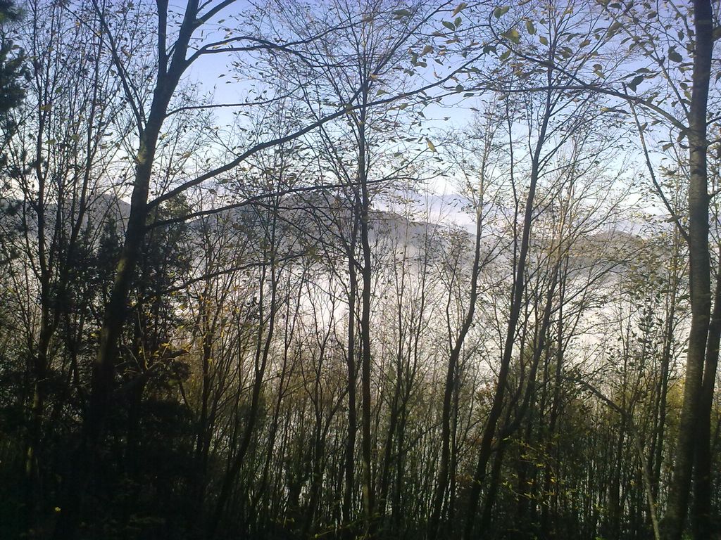 20112011850.jpg