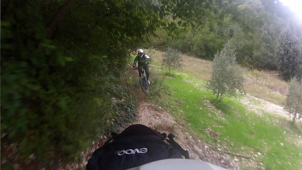 Treia.jpg