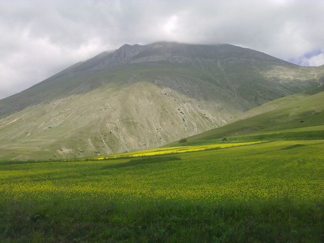 tn_19062011462.jpg