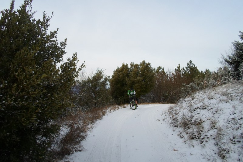 SAM_9719_800x533.JPG