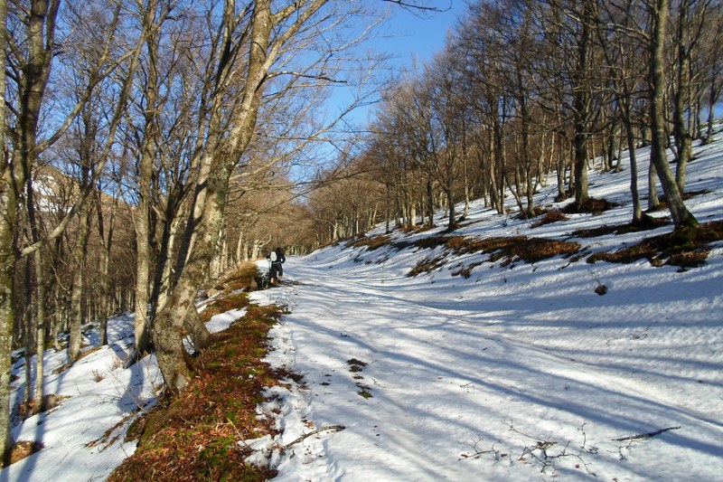 SAM_9852_800x533.JPG