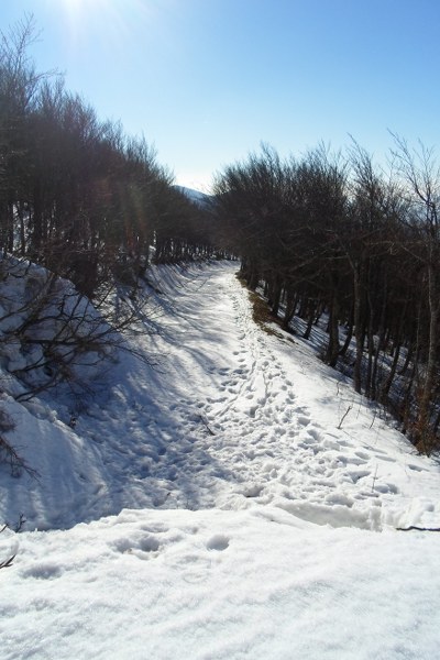 SAM_9865_400x600.JPG