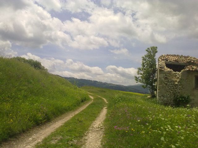 tn_19062011456.jpg