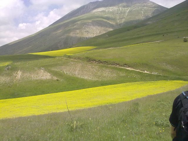 tn_19062011455.jpg
