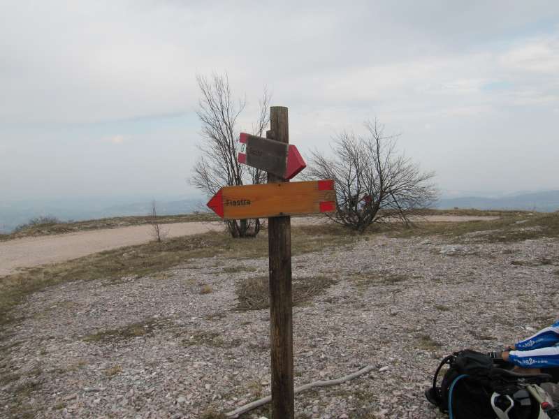 IMG_6533_800x600.jpg