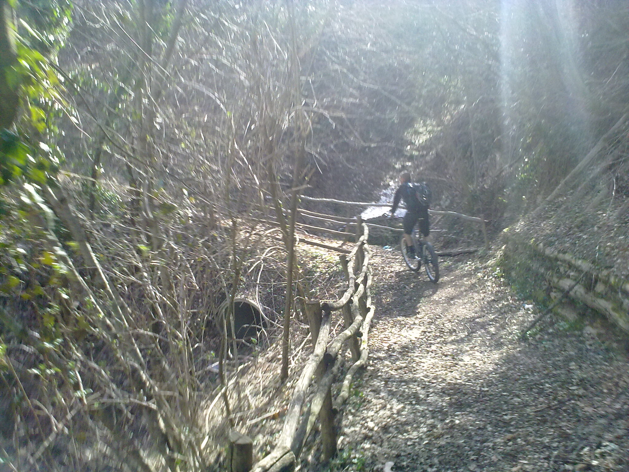 18032012037.jpg