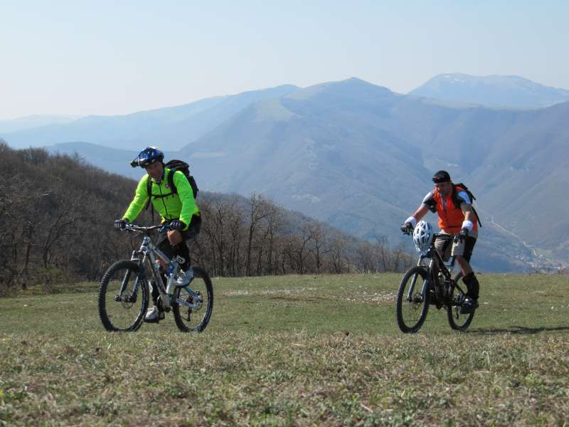 IMG_6626_800x600.jpg