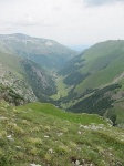 tn_img_3831.jpg