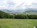 tn_img_3896.jpg
