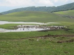 tn_img_3892.jpg