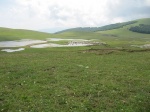 tn_img_3891.jpg