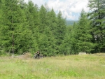 IMG_7740_800x600.jpg