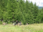 IMG_7741_800x600.jpg