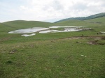 tn_img_3887.jpg
