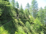IMG_7845_800x600.jpg