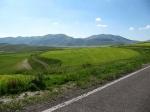 tn_img_3920.jpg