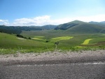 tn_img_3917.jpg