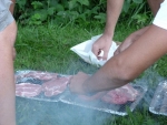 P1190688_800x600.JPG