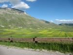 tn_img_3932.jpg