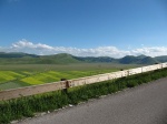 tn_img_3931.jpg