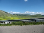 tn_img_3929.jpg