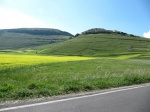tn_img_3928.jpg