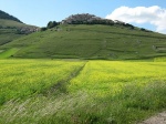 tn_img_3927.jpg