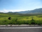 tn_img_3925.jpg