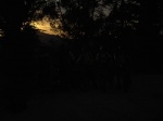 tn_pict0290.jpg