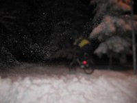 IMG_8875_800x600.jpg