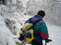 SAM_2568_800x600.JPG SAM_2568_800x600.JPG