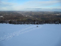 IMG_8922_800x600.jpg
