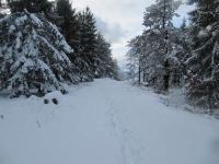 IMG_8914_800x600.jpg