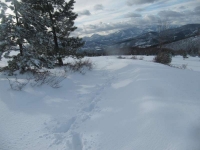IMG_8911_800x600.jpg