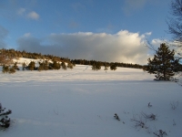 SAM_2608_800x600.JPG
