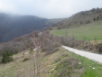 IMG_9082_800x600.JPG