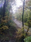 tn_30102011776.jpg