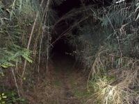 SAM_4094_800x600.JPG