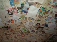 SAM_4231_800x600.JPG
